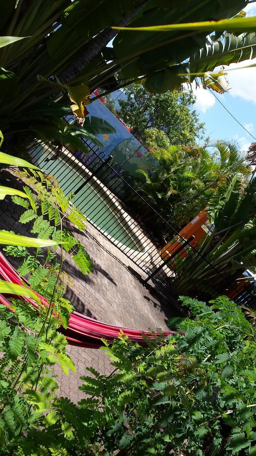 Jjs Backpackers Hostel Cairns Extérieur photo