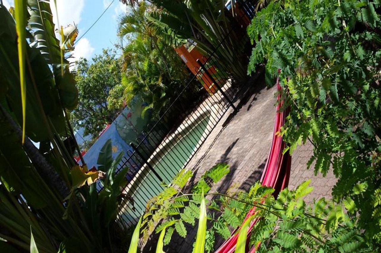 Jjs Backpackers Hostel Cairns Extérieur photo