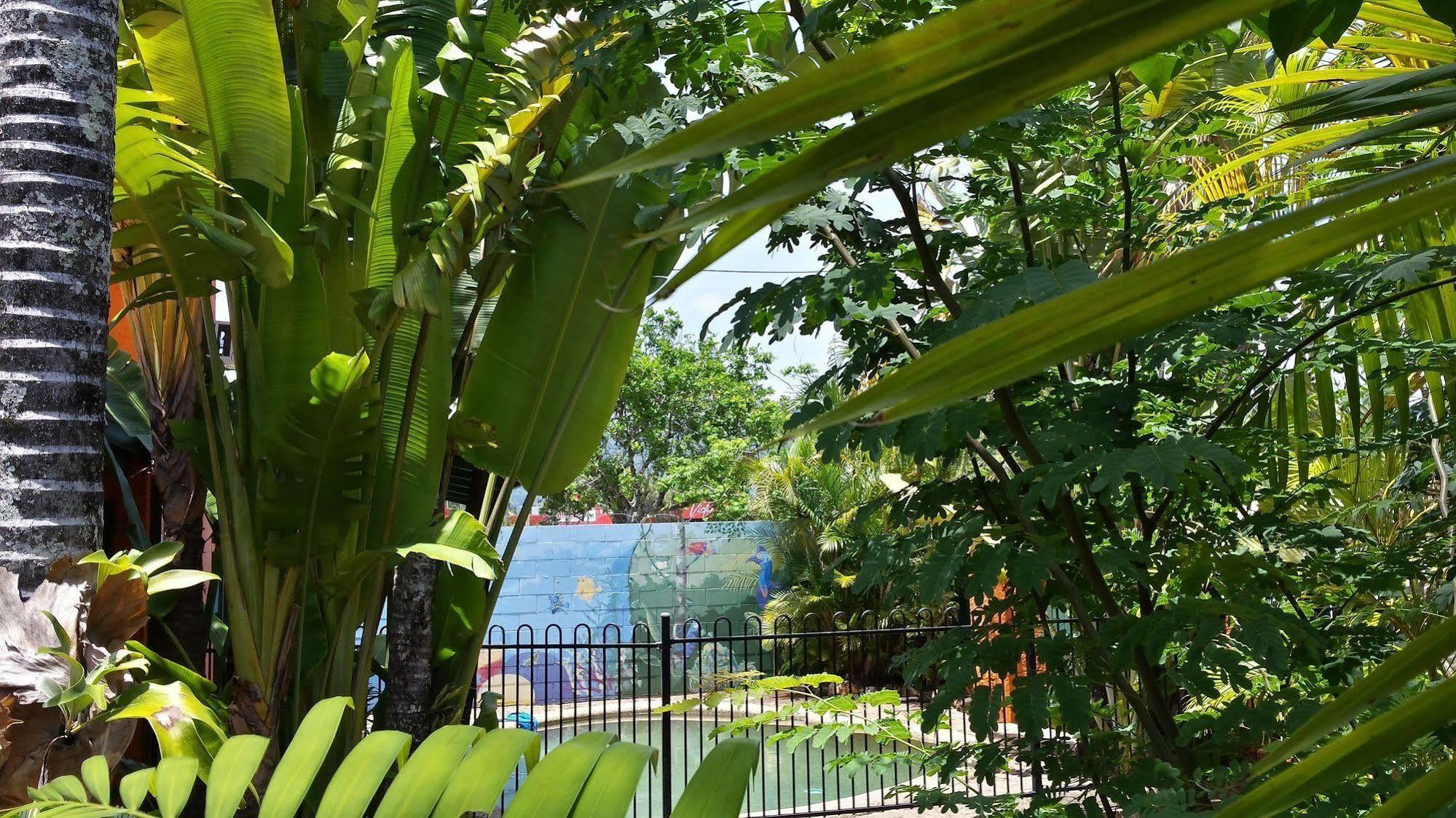 Jjs Backpackers Hostel Cairns Extérieur photo