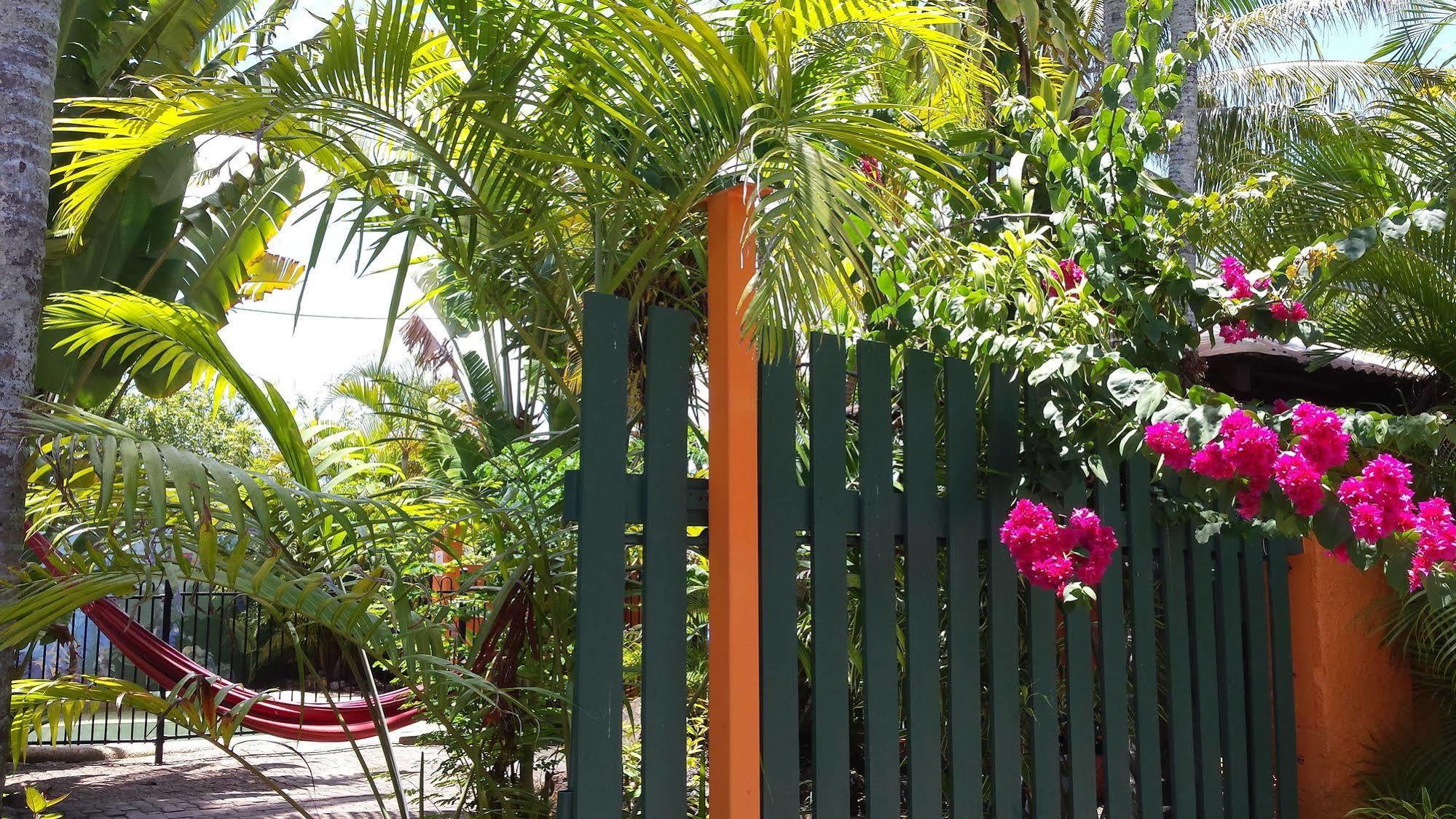 Jjs Backpackers Hostel Cairns Extérieur photo