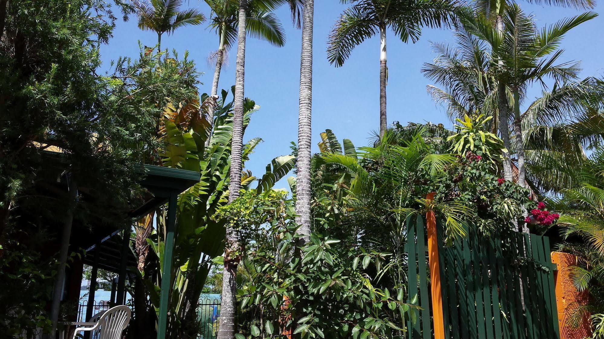 Jjs Backpackers Hostel Cairns Extérieur photo